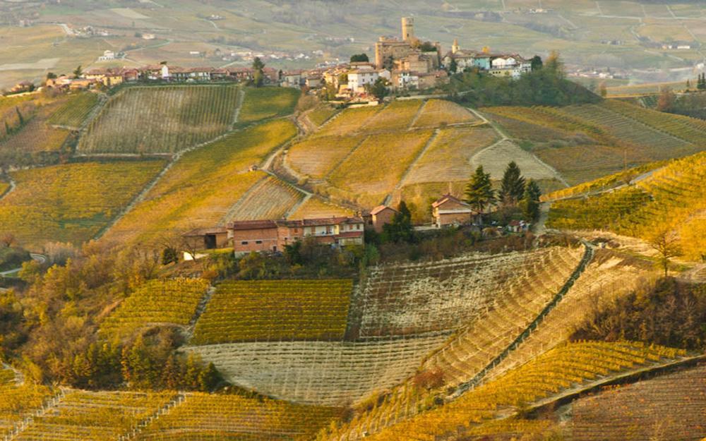 Hotel Langhe&Monferrato Costigliole d'Asti Esterno foto